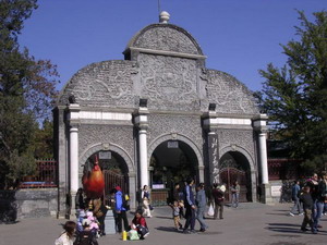 beijing zoo