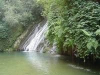 Gudong waterfall (Click to see details)
