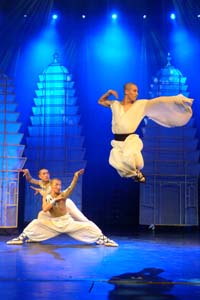 Chinese Kungfu(Gongfu)