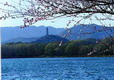 Summer Palace,Beijing,China(Click to see details)