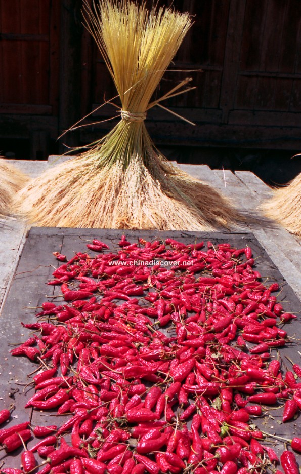 photo album-Sichuan tour and travel