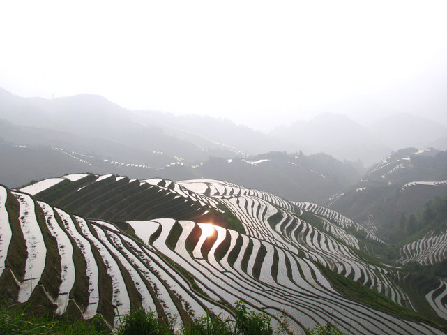 Rice Terrace, Yuanyang