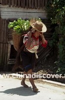 Hani (Akha) Culture in Yunnan, China (Click to see details)