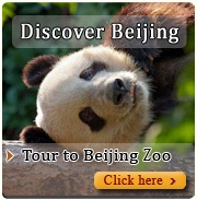 tour to Beijing zoo