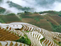 The Longji Terraces