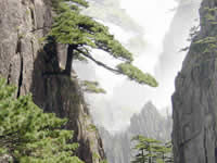 Mt.Huangshan