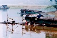 fisherman and fishing bird,fishing boat on li river,yangshuo (Click to see details)