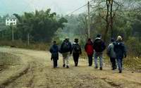 photo album-Hiking on countryside road,China(Click to see details)